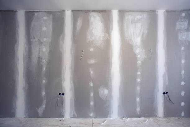 Best Emergency Mold Remediation  in USA